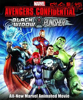 机密复仇者:黑寡妇与惩罚者