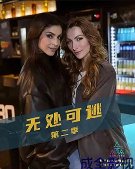 无处可逃第二季